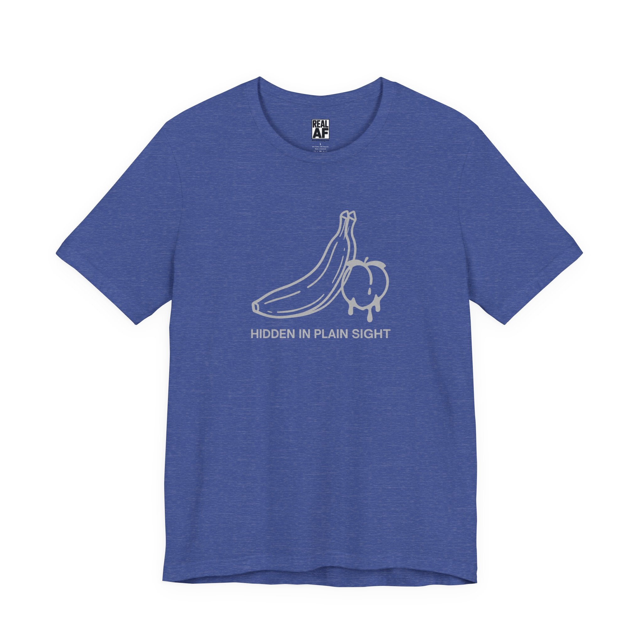 Hidden in Plain Sight T‑Shirt