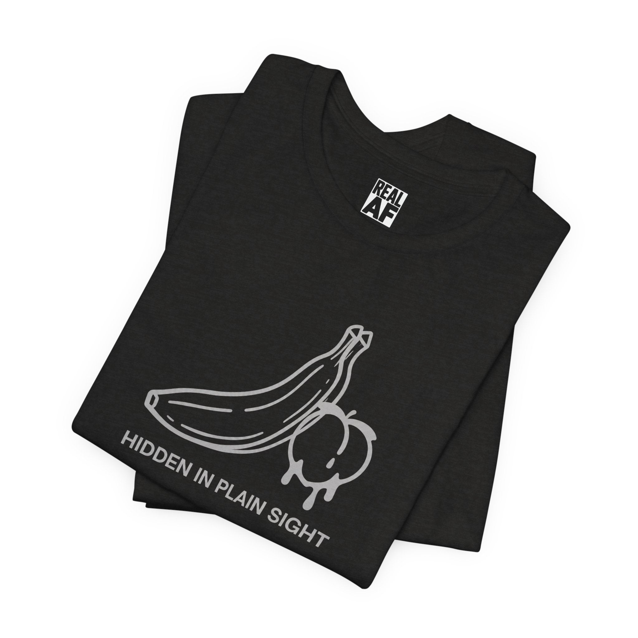 Hidden in Plain Sight T‑Shirt