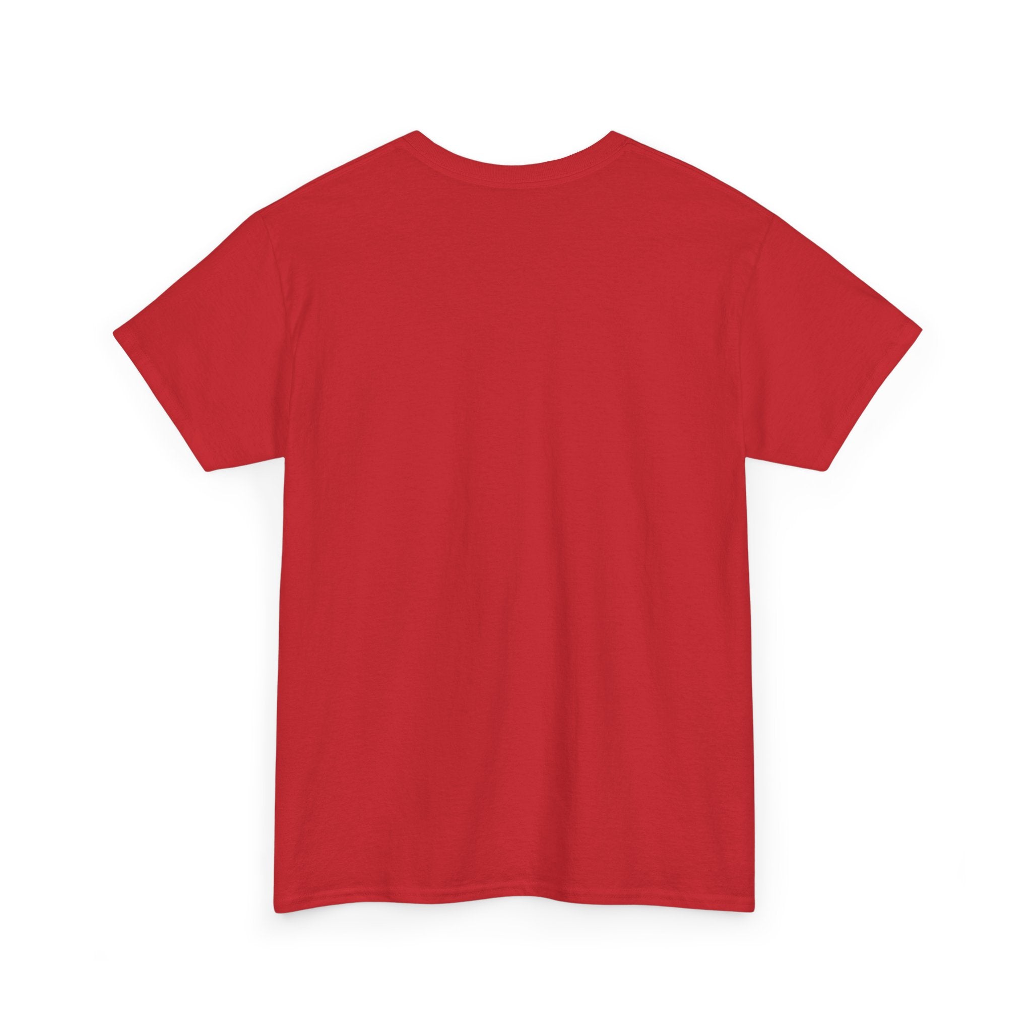 Real AF Unisex No Filters Needed Heavy Cotton Tee