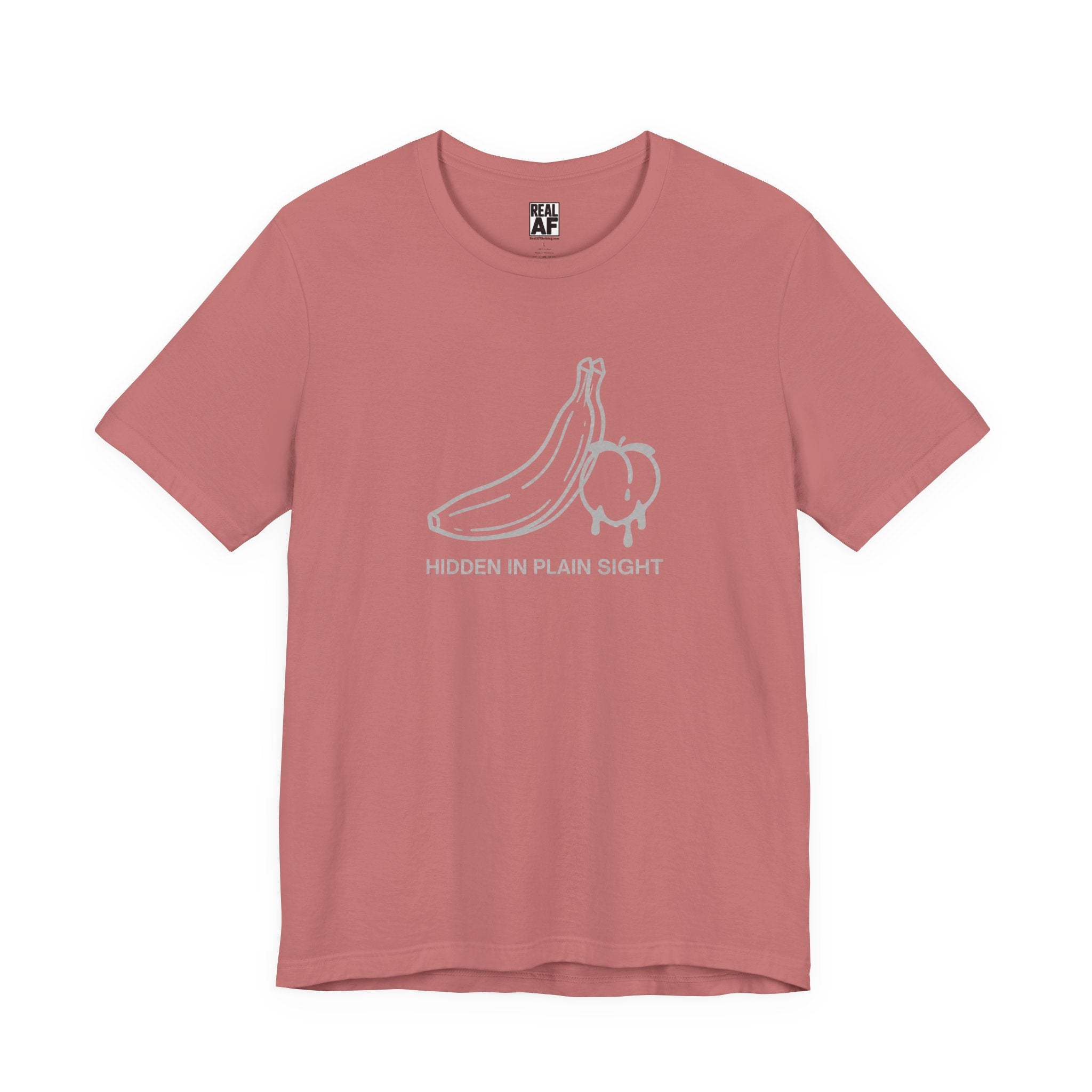 Hidden in Plain Sight T‑Shirt