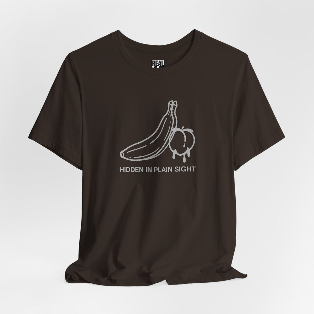 Hidden in Plain Sight T‑Shirt
